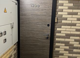 Продам трехкомнатную квартиру, 113 м2, Новосибирск, Стартовая улица, 1, метро Студенческая