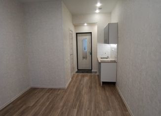 Продажа квартиры студии, 19 м2, Пермь, улица Мира, 30, Индустриальный район