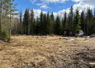 Продается земельный участок, 25 сот., СНТ Ветеран-1