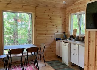 Продажа дома, 32 м2, посёлок Черкаскуль, Лесная улица, 17