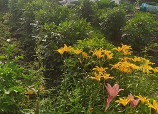 Продается дом, 78 м2, село Восход, Юбилейная улица