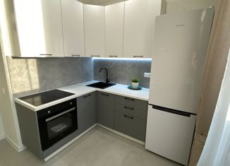 Продам 1-ком. квартиру, 39 м2, Ростов-на-Дону, улица Ерёменко, 95/30, Советский район