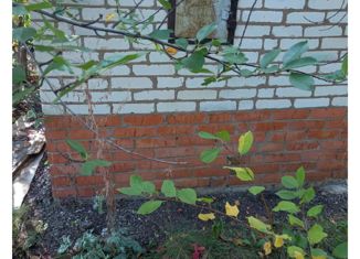 Дом на продажу, 4.3 м2, Оренбургская область, 53К-0702000