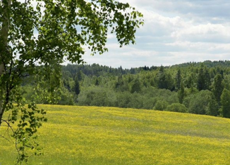 Земельный участок на продажу, 2800 сот., село Воздвиженское