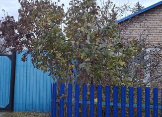 Продам дом, 52.7 м2, деревня Аязгулова, Новая улица