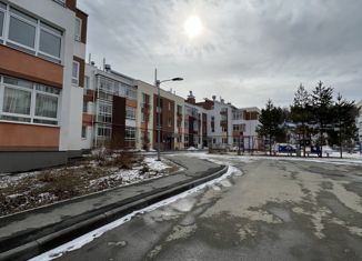 Продается двухкомнатная квартира, 52.7 м2, посёлок Мичуринский, Карасьевская улица, 26