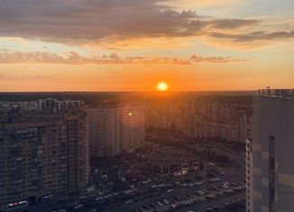 Продается 1-ком. квартира, 39.1 м2, Санкт-Петербург, Туристская улица, 23к5, ЖК Гуси-лебеди