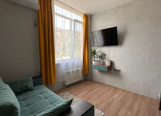 Продажа квартиры студии, 24 м2, село Краевско-Армянское, Измайловская улица, 20Ак1