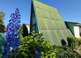 Продается дом, 42 м2, СНТ Химик-1, 1-я Центральная улица