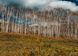 Продаю земельный участок, 12 сот., посёлок Пионерский