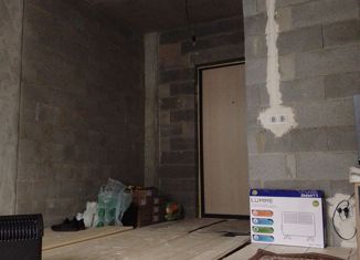 Продажа квартиры студии, 23.7 м2, деревня Малое Верево, улица Кутышева, 9Вк9