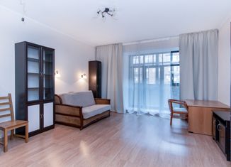Продажа квартиры студии, 30.5 м2, Санкт-Петербург, Наличная улица, 26к6, Наличная улица