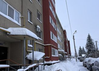 Продается 2-комнатная квартира, 62.3 м2, село Дмитриевка, Трактовая улица, 28/1