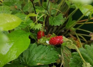 Продам земельный участок, 21.5 сот., ДНП Европейская долина-2, 4-й Двинский переулок