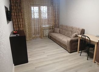 Продажа квартиры студии, 28 м2, село Тополево, Школьная улица, 3