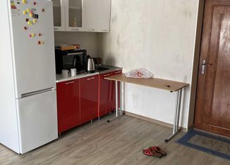 Продается квартира студия, 21.8 м2, Кудымкар, улица Кузнецова, 15