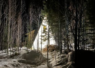 Продаю дом, 62 м2, поселок Гусевка, Липовая улица, 10