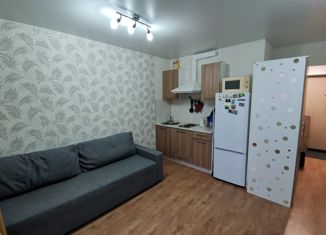 Сдам в аренду квартиру студию, 21 м2, Мурино, улица Шувалова, 16/9