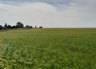 Продаю участок, 6 сот., деревня Красный Яр