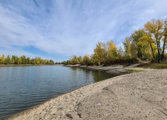 Продажа участка, 10 сот., СНТ Красный Яр, СНТ Красный Яр, 283