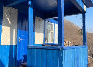 Продаю дом, 45.9 м2, село Новая Сила, Центральная улица, 40