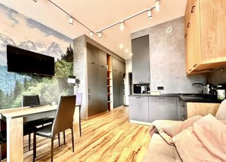 Продам 1-ком. квартиру, 29.6 м2, село Эстосадок, село Эстосадок, 55