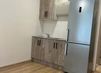 Квартира на продажу студия, 19 м2, Казань, улица Белинского, 39, Авиастроительный район
