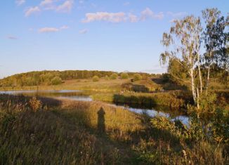 Продажа участка, 10.3 сот., дачный поселок Пряники, Ежевичная улица