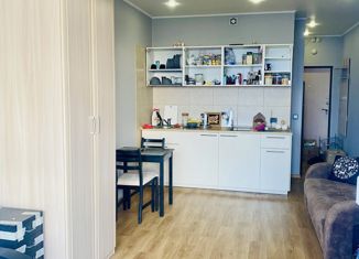 Сдается квартира студия, 27 м2, Мурино, улица Шувалова, 1, ЖК Гринландия