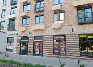 Продажа квартиры студии, 23.1 м2, Москва, улица Михайлова, 30Ак4, метро Окская