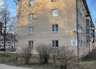 2-комнатная квартира на продажу, 44 м2, село Кудиново, Пионерская улица, 11