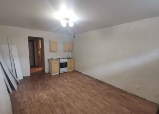 Продается квартира студия, 28 м2, посёлок Знаменский, Берёзовая улица, 1