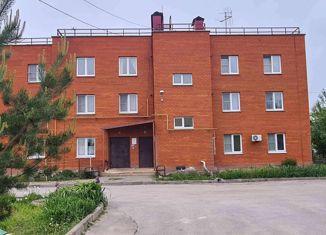 Продается 1-комнатная квартира, 33 м2, село Боринское, улица Дзержинского, 16А