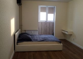 Продажа квартиры студии, 28 м2, поселок Придорожный, Николаевский проспект, 53