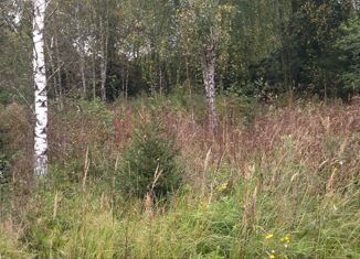 Земельный участок на продажу, 10 сот., деревня Шапкино, деревня Шапкино, 14