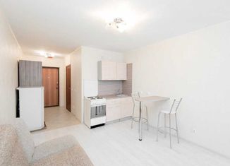 Продается 1-ком. квартира, 28.8 м2, село Тополево, Центральная улица, 17