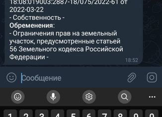 Земельный участок на продажу, 24 сот., починок Мирный, Рябиновая улица, 15