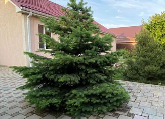 Сдаю в аренду дом, 100 м2, Аксай, Ильинская улица, 29
