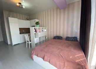 Продажа квартиры студии, 28 м2, Сочи, микрорайон Яна Фабрициуса, улица Яна Фабрициуса, 2/26А