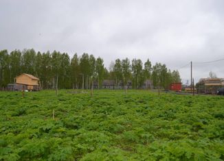 Продам земельный участок, 12 сот., деревня Савапиян