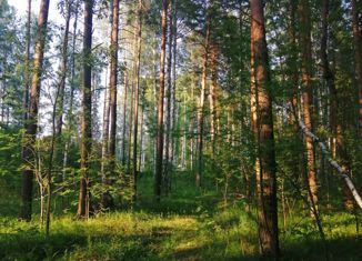 Продается участок, 12.6 сот., село Горный Щит, улица Толстого, 27