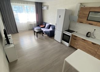 Сдается в аренду 2-комнатная квартира, 56 м2, село Раздольное, Тепличная улица, 65, ЖК Министерские Озёра