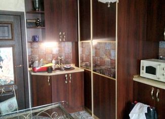 Продам 1-ком. квартиру, 47 м2, село Пригорское, улица Н.М. Шкурлова, 1