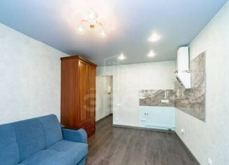 Продаю квартиру студию, 22.8 м2, Мурино, Ручьёвский проспект, 4/26, ЖК Авиатор