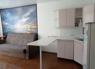 Продам комнату, 18 м2, Екатеринбург, улица Ляпустина, 13, улица Ляпустина
