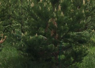 Продаю участок, 15 сот., Касли, улица Братьев Блиновсковых