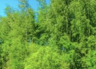 Продаю участок, 6092 сот., деревня Тимошкино