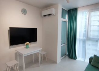 Продается квартира студия, 24 м2, Сочи, Ясногорская улица, 16/6к5, микрорайон Бытха