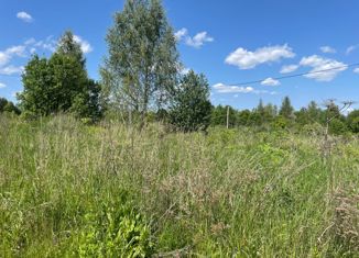 Продается участок, 13.71 сот., деревня Першутино, деревня Першутино, 61