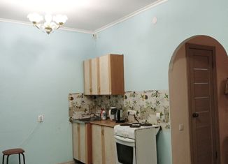 Продается однокомнатная квартира, 28 м2, Новосибирск, улица Николая Грицюка, 1